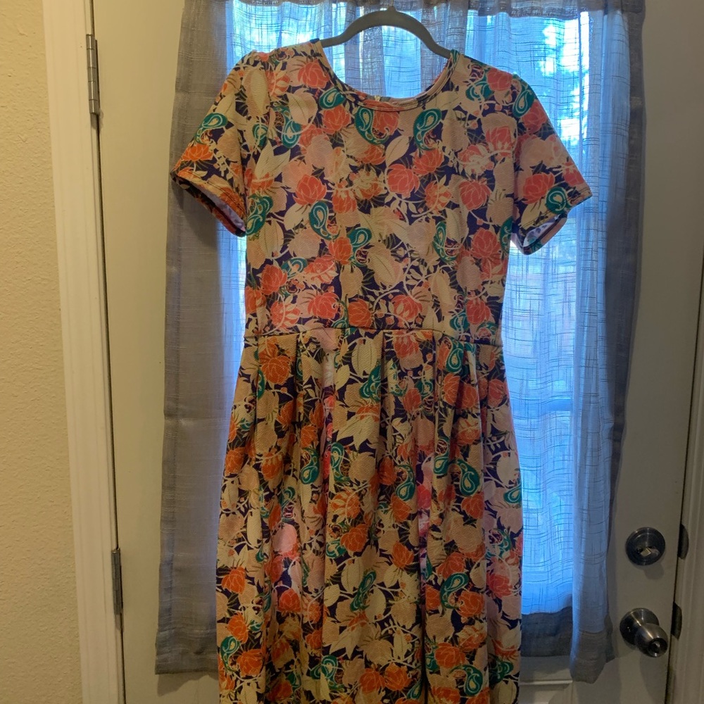 Stretch LulaRoe dress